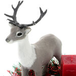 Christmas decoration with Gray Deer 4