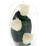 Bouquet of 3 cream cryogenic roses 4