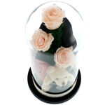 Bouquet 3 Cryogenic Roses with a Teddy Bear 4