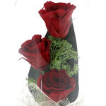 3 Forever Red Roses in Dome 4