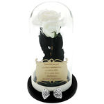 Gift for teacher, a white cryogenic rose under dome with a message