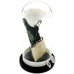 Gift for teacher, a white cryogenic rose under dome with a message 2