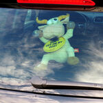 Windshield Decoration: Don't Get on My Goat 4