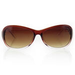 Brown Womens Sunglasses 2
