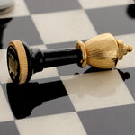 Exclusive black and white chess 14