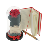 Teacher gift set cryogenic rose with diary and pen 1