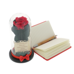 Teacher gift set cryogenic rose with diary and pen 3