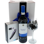 Gift set Wine is the Madness of Youth 1