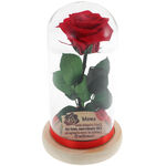 Gift for Mother Forever Rose 2