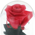 Forever Rose Gift for Godmother 3