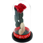 Cryogenic red rose under dome with message I love you 2