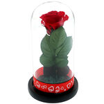 Cryogenic red rose under dome with message I love you 3