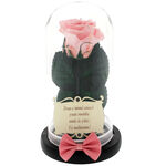 Pink cryogenic rose under dome with message for teacher 1