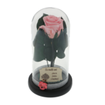 Pink cryogenic rose under glass dome with the message Happy Birthday