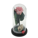 Pink cryogenic rose under glass dome with the message Happy Birthday 2