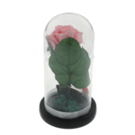 Pink cryogenic rose under glass dome with the message Happy Birthday 3