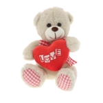 Teddy bear plus cream heart love 20cm