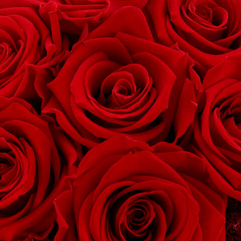 Aranjament Trandafiri Criogenati Luxury Rose Box