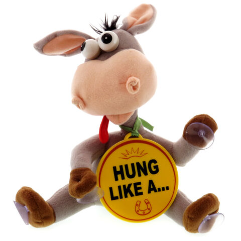 Decor Geam: Hung Like a...