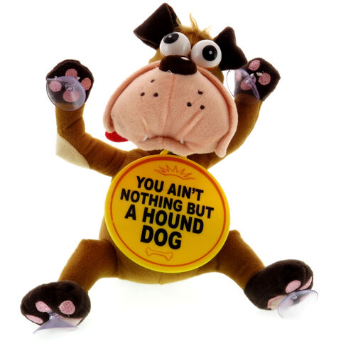 you ain t nothing but a hound caine haios you ain t nothing but a hound you ain t nothing but a hound caine haios you ain t nothing but a hound