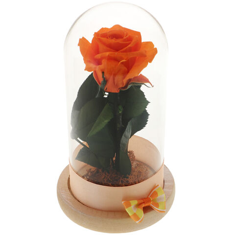 Trandafir Criogenat Orange Rose