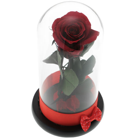 Trandafir Criogenat Red Rose