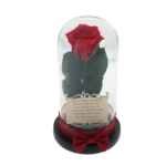 Cryogenic roses - what they are and when they are suitable for giving