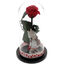 Forever Rose Gift for Women with Love