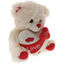 Plush Teddy Bear Love You