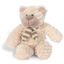 Plush animal teddy bear brown