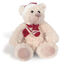 Plush animal red teddy bear