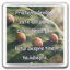 Transparent fridge magnet The friend who knows everithing
