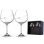 Set of 2 Crystal Gin Glasses Silhouette