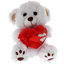 White teddy bear with a red heart