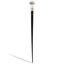 Baston elegant Walking Sticks ciuperca