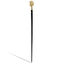 Elegant Walking Stick Golden Horse