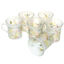 Set 6 cani cafea pictate Fantezia