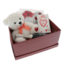 Rose Mary with teddy bear gift set