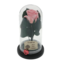 Pink cryogenic rose under glass dome with the message Happy Birthday