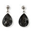 Black Crystal Earrings