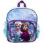 Frozen Backpack with Stationary