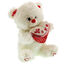 Plush Bear with Heart