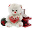 Love Gift with Teddybear