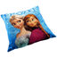 Frozen Pillow