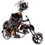 Ghost Rider Motorcyclists Gift