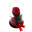 Red cryogenated rose in glass dome