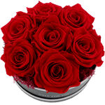 Aranjament Trandafiri Criogenati Luxury Rose Box 2