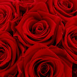 Aranjament Trandafiri Criogenati Luxury Rose Box 4