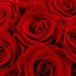 Forever Red Rose Bouquet with Chocolate  4