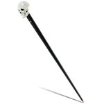 Elegant Cane Noble Skull Walking Sticks 2